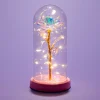 Lumière d'appoint rose sous un dôme